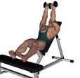 Dumbbell Press - Incline Feet Up